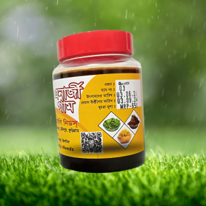 এনার্জি গাম ৫০০ গ্রাম